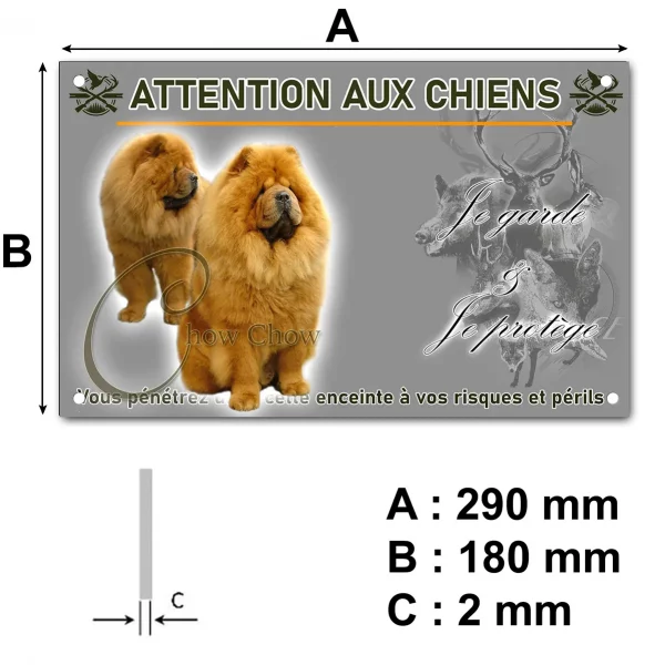 Pancarte Deux chiens Chow Chow avec une fourrure dense et dorée