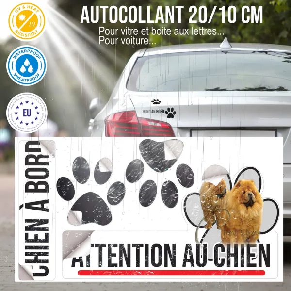 Plaque chien de garde Deux chiens Chow Chow avec une fourrure dense et dorée