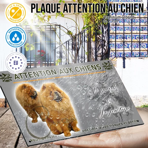 Panneau Deux chiens Chow Chow avec une fourrure dense et dorée