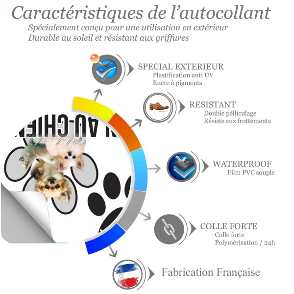 Chien a bord Collage de plusieurs Chihuahuas aux pelages variés