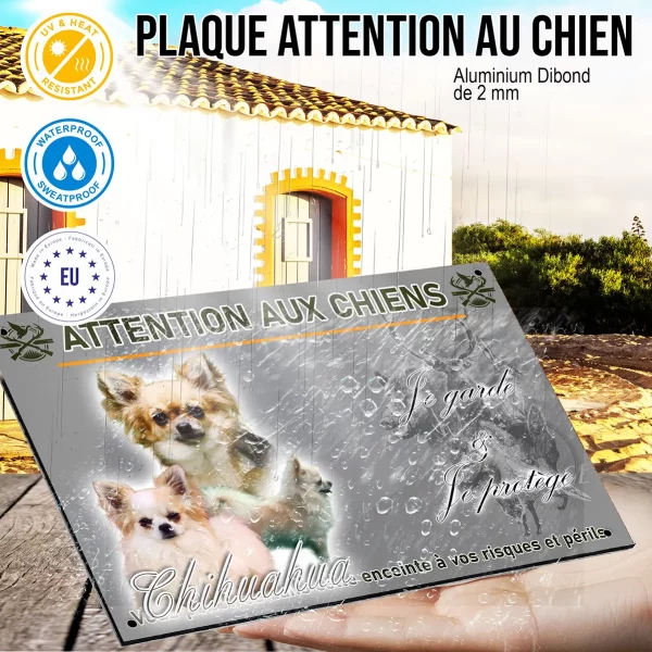 Panneau Collage de plusieurs Chihuahuas aux pelages variés