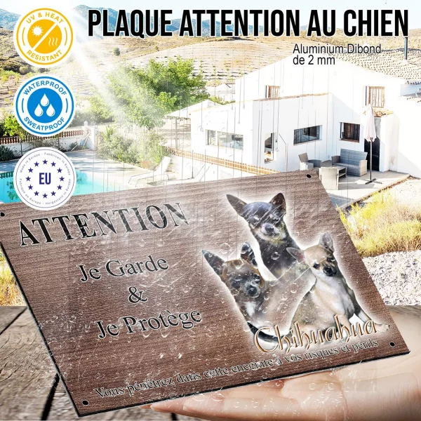 Panneau attention au chien Trois chiens Chihuahua posant ensemble