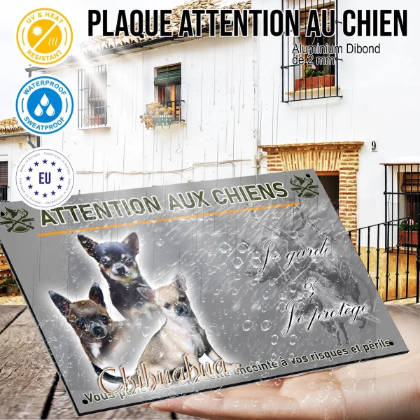 Panneau Trois chiens Chihuahua posant ensemble