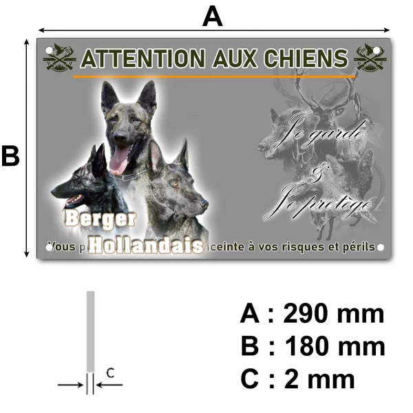 Pancarte Trois chiens Berger Hollandais en gros plan