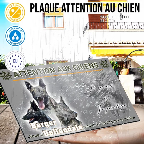 Panneau Trois chiens Berger Hollandais en gros plan