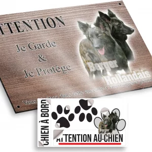Plaque attention au chien Deux chiens de race Berger Hollandais avec un fond dégradé