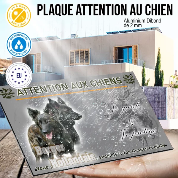 Panneau Deux chiens de race Berger Hollandais avec un fond dégradé