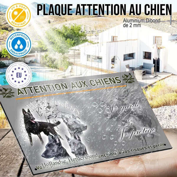Panneau 3 chiens Bergers Hollandais et un en entier