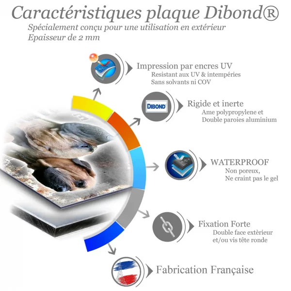 Je monte la garde Deux têtes et un chien entier Fila Brasileiro