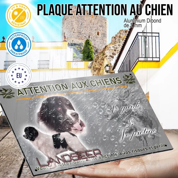 Panneau Deux chiens Landseer en pose