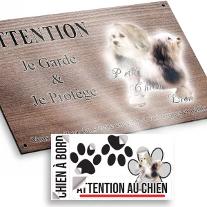 Plaque attention au chien Deux Petit Chien Lion avec un fond coloré
