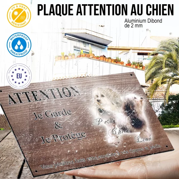 Panneau attention au chien Deux Petit Chien Lion avec un fond coloré