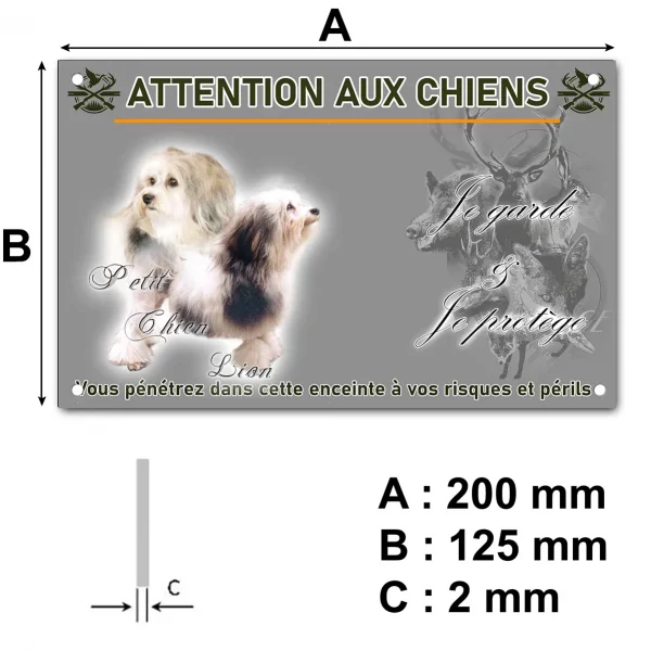 Panneau Deux Petit Chien Lion avec un fond coloré