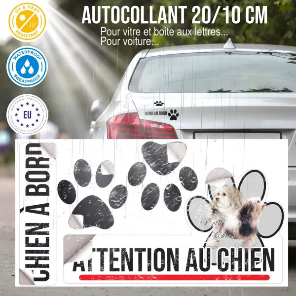 Plaque chien de garde Deux Petit Chien Lion avec un fond coloré