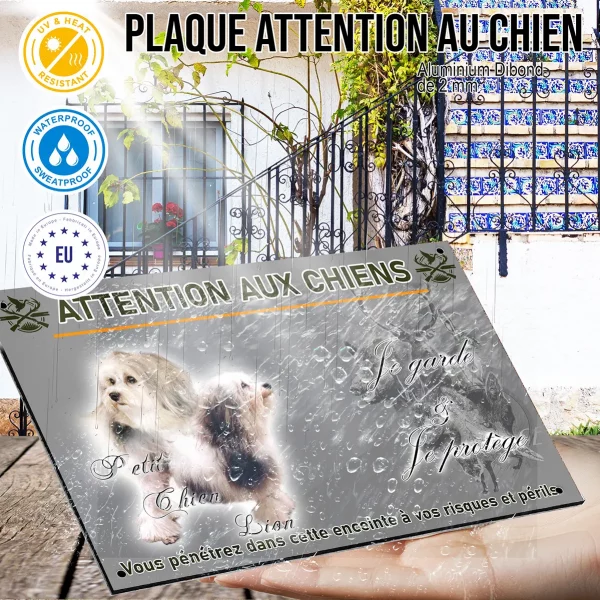 Panneau Deux Petit Chien Lion avec un fond coloré