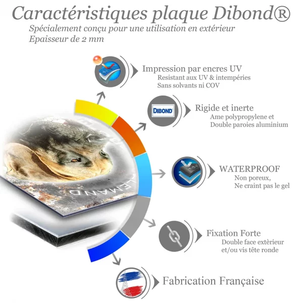 Je monte la garde Dogue Allemand avec fond en couleur vive