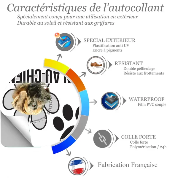 Chien a bord Dogue Allemand avec fond en couleur vive
