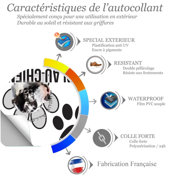 Chien a bord Portrait d'un Dogue Allemand