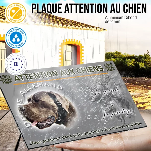 Panneau Borzoi Allemand en gros plan avec fond transparent