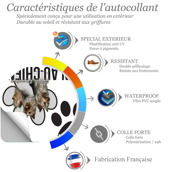 Chien a bord Trois Silky Terriers avec des sourires joyeux