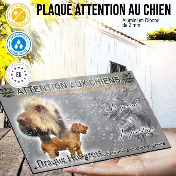 Panneau Braque Hongrois avec un chien en gros plan et entier