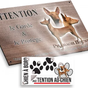 Plaque attention au chien Visuel d'un Pharaoh Hound en différentes poses