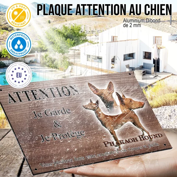 Panneau attention au chien Visuel d'un Pharaoh Hound en différentes poses