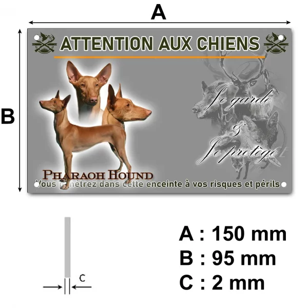 Plaque Visuel d'un Pharaoh Hound en différentes poses