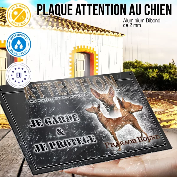 Panneau chien de garde Visuel d'un Pharaoh Hound en différentes poses