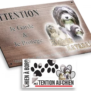 Plaque attention au chien Trois Bichons Havanais sur fond coloré