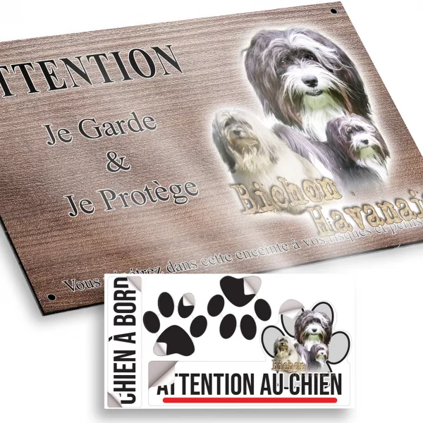 Plaque attention au chien Trois Bichons Havanais sur fond coloré