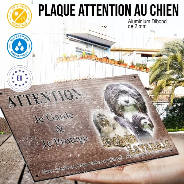 Panneau attention au chien Trois Bichons Havanais sur fond coloré