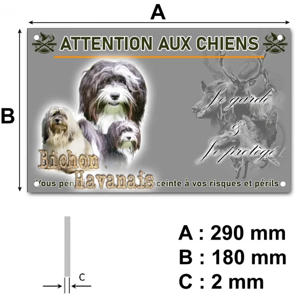 Pancarte Trois Bichons Havanais sur fond coloré