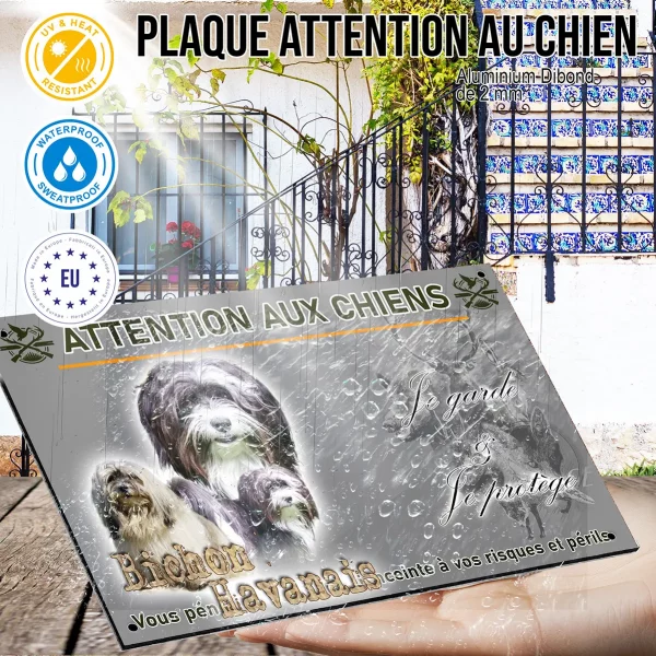 Panneau Trois Bichons Havanais sur fond coloré