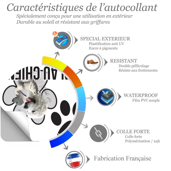 Chien a bord Trois Podhalans avec un fond stylisé et écrit Podhalan
