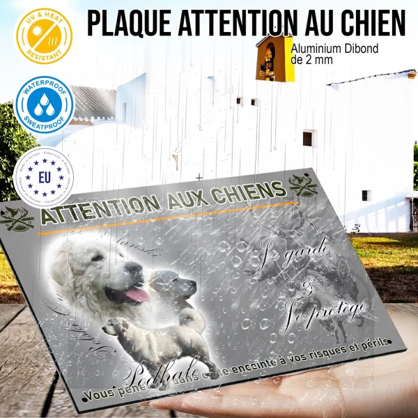 Panneau Images de chiens Podhalan avec différentes poses