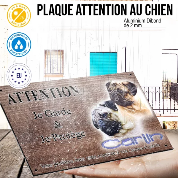 Panneau attention au chien Deux Carlins avec des expressions différentes sur fond coloré