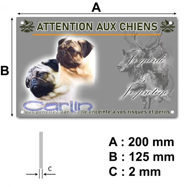 Panneau Deux Carlins avec des expressions différentes sur fond coloré