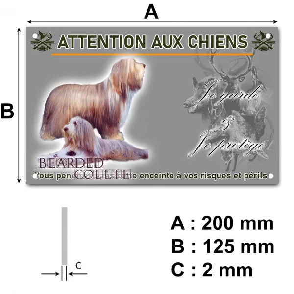 Panneau Deux Bearded Collies avec un pelage soyeux