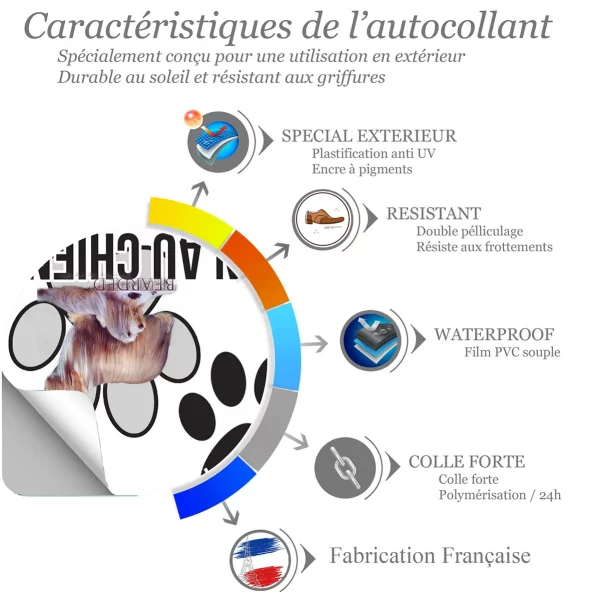Chien a bord Deux Bearded Collies avec un pelage soyeux