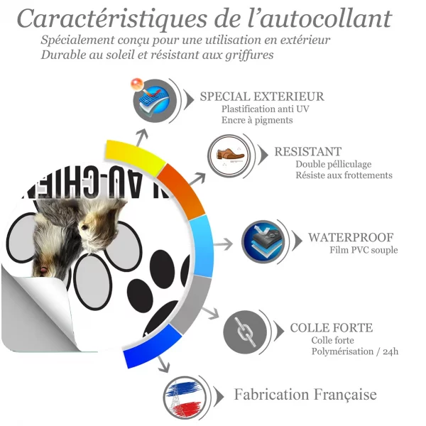 Chien a bord Deux Bearded Collies avec pelage noir et blanc