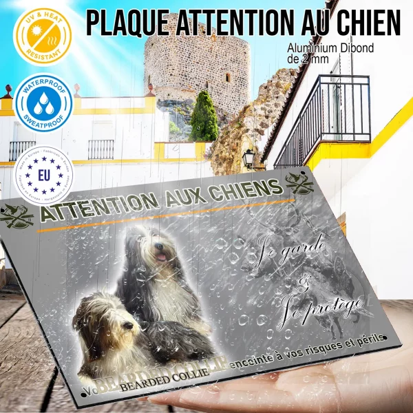 Panneau Deux Bearded Collies avec pelage noir et blanc