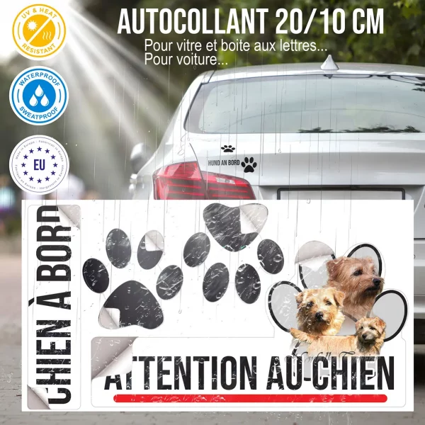 Plaque chien de garde Trois Norfolk Terriers en différents angles