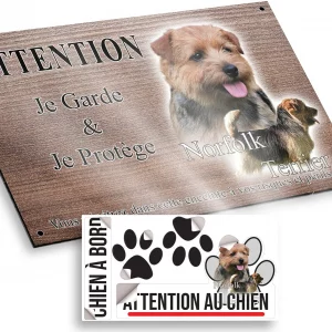 Plaque attention au chien Norfolk Terrier avec un gros plan et un chien entier en profil