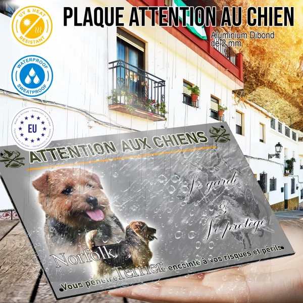 Panneau Norfolk Terrier avec un gros plan et un chien entier en profil