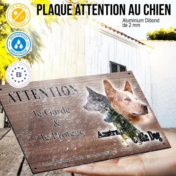Panneau attention au chien Trois Australian Cattle Dogs avec arrière plan coloré
