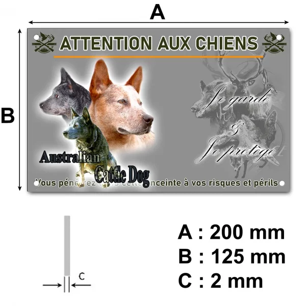 Panneau Trois Australian Cattle Dogs avec arrière plan coloré