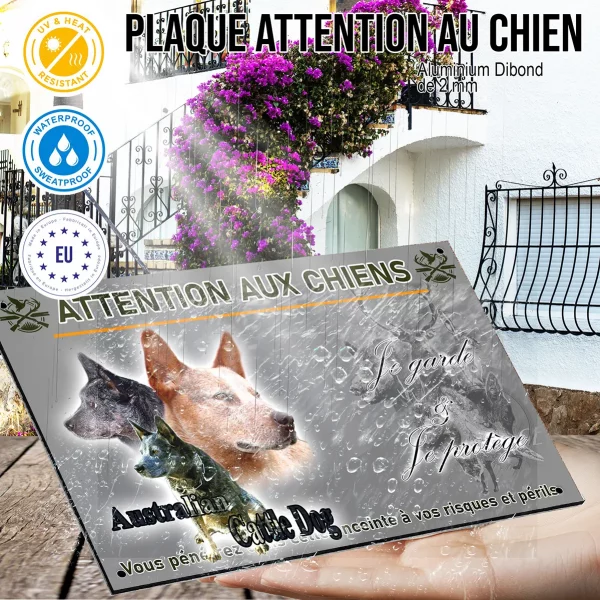 Panneau Trois Australian Cattle Dogs avec arrière plan coloré
