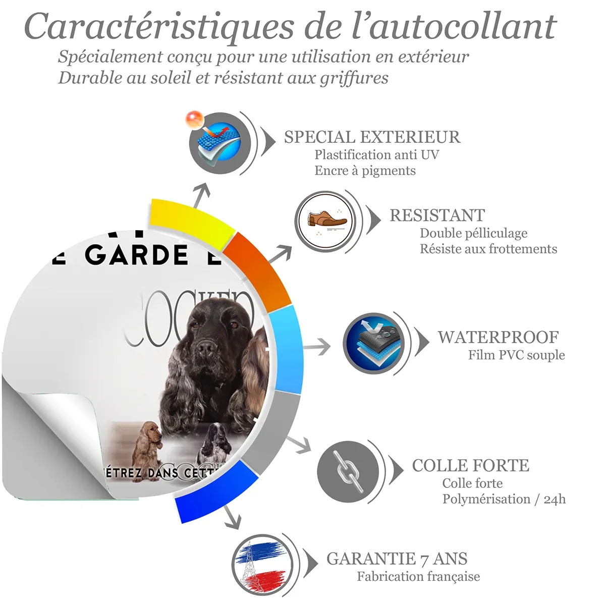 Sticker Cocker Anglais Portraits de chiens aux fourrures variées