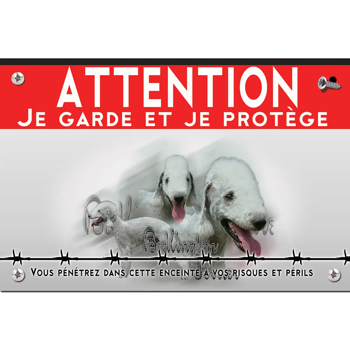 Signalisation personnalisee Trois Bedlington Terriers sur fond transparent